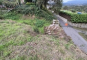 Chalet independiente con terreno en venta en la España, Nigrán, ref: TR218040 foto