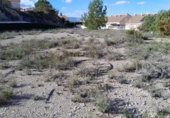 Casa con terreno en venta en la España, Benaguasil, ref: TR227398 foto