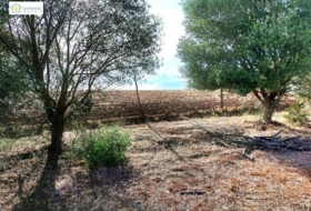 Gerena 67516&nbsp;m²