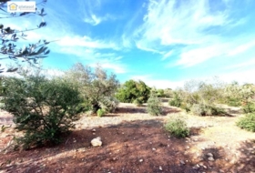 Gerena 67516&nbsp;m²
