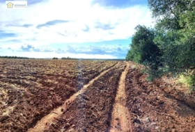 Gerena 67516&nbsp;m²