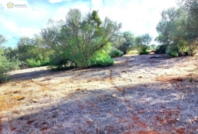 Gerena 67516&nbsp;m²