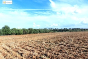 Gerena 67516&nbsp;m²