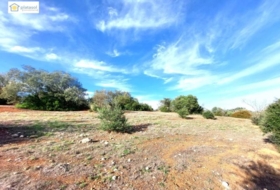 Gerena 67516&nbsp;m²