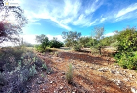 Gerena 67516&nbsp;m²