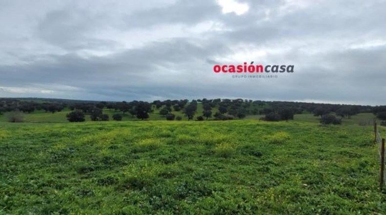 Córdoba - El Viso - 33400m2