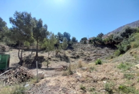 Foto 9