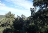 Suelo urbano en venta en la España, Mataró, ref: TR166254 foto
