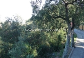 Suelo urbano en venta en la España, Mataró, ref: TR166254 foto