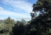 Suelo urbano en venta en la España, Mataró, ref: TR166254 foto