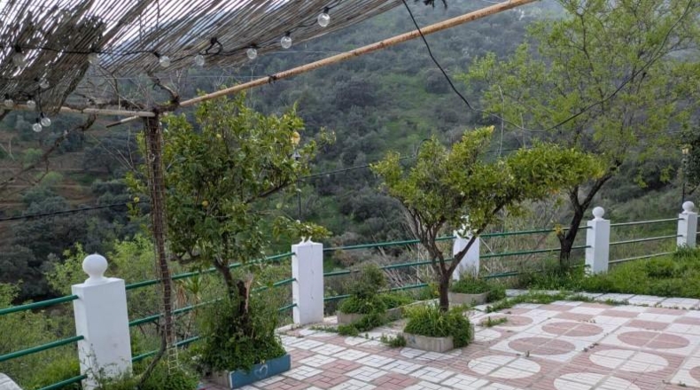 Málaga - Málaga - 8000m2