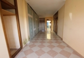 Casa de pueblo en venta en la España, Montijo, ref: TR412738 foto