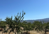 Casa de campo con terreno en venta en la España, Padul, ref: TR411272 foto