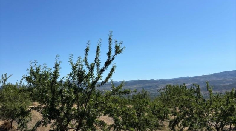 Granada - Padul - 24615m2