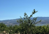 Casa de campo con terreno en venta en la España, Padul, ref: TR411272 foto
