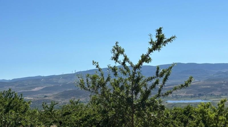 Granada - Padul - 24615m2