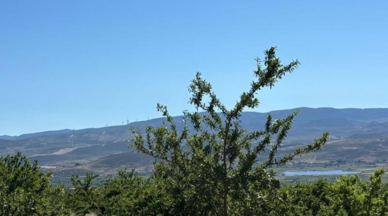 Granada - Padul - 24615m2