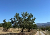 Casa de campo con terreno en venta en la España, Padul, ref: TR411272 foto