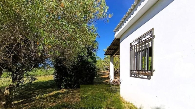 Valencia - Ontinyent - 130m2