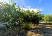 Detached villa with land for sale on España, Ontinyent, ref: TR411907 photo