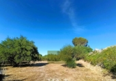 Detached villa with land for sale on España, Ontinyent, ref: TR411907 photo