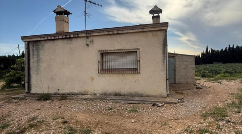 Tarragona - Camarles - 19000m2