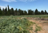 Chalet independiente con terreno en venta en la España, Camarles, ref: TR410246 foto