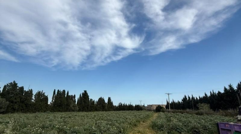 Tarragona - Camarles - 19000m2