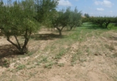 Terreno no urbanizable en venta en la España, Ontinyent, ref: TR113794 foto