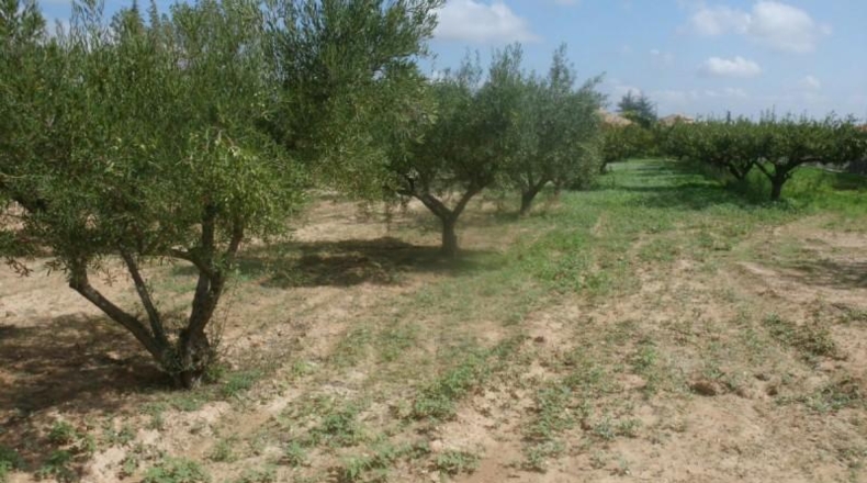 València - Onteniente - 4107m2