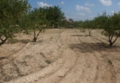 Terreno no urbanizable en venta en la España, Ontinyent, ref: TR113794 foto