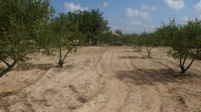 València - Onteniente - 4107m2