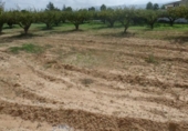 Terreno no urbanizable en venta en la España, Ontinyent, ref: TR113794 foto