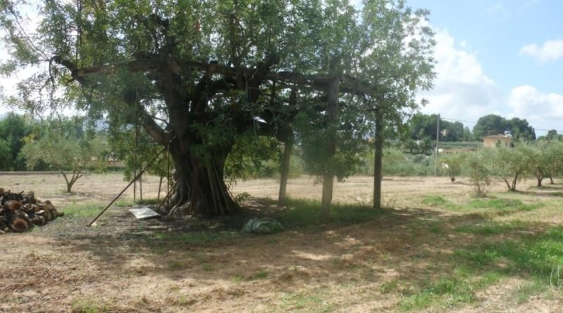 València - Onteniente - 4107m2