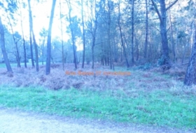 Porriño 3100&nbsp;m²