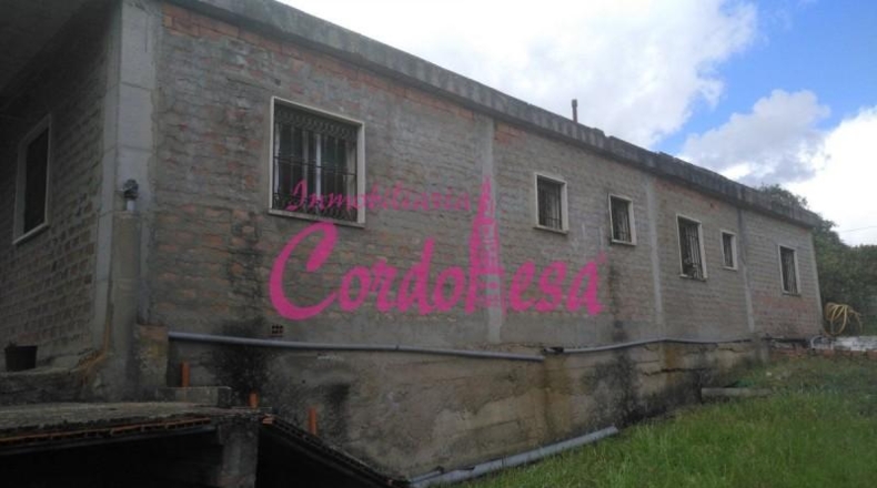 Córdoba - Obejo - 6000m2