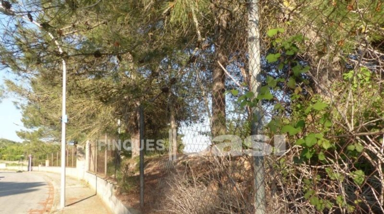 Barcelona - Igualada - 800m2