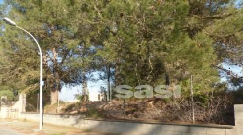 Barcelona - Igualada - 800m2