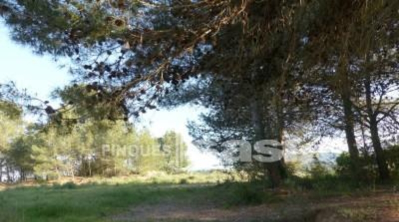 Barcelona - Igualada - 800m2