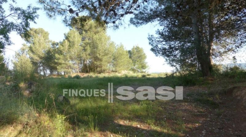 Barcelona - Igualada - 800m2