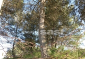 Suelo urbano en venta en la España, Igualada, ref: TR120135 foto