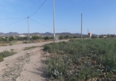 Country house with land for sale on España, Lorca, ref: TR398038 photo