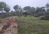 Casa amb terreny en venda a la España, Còrdova, ref.: TR298219 foto
