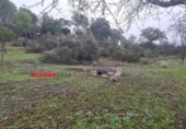 Casa amb terreny en venda a la España, Còrdova, ref.: TR298219 foto