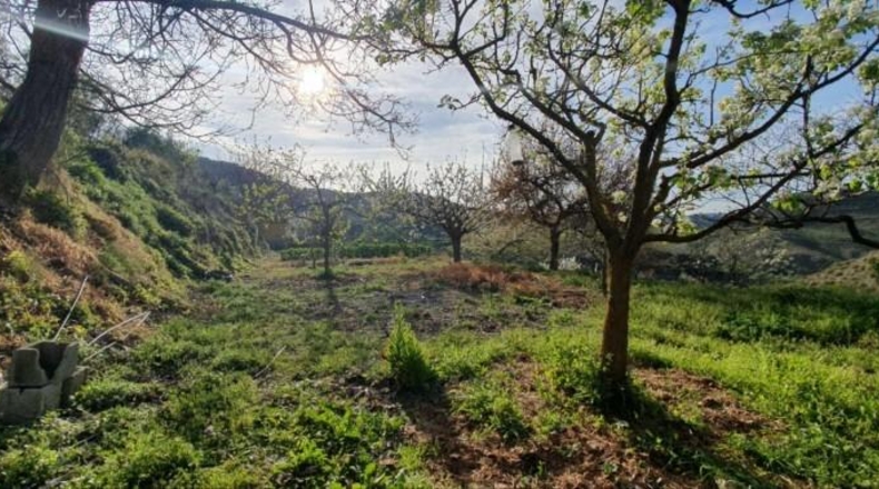 Málaga - Yunquera - 4000m2