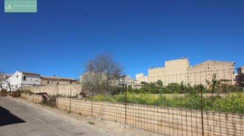 Balearic Islands - Muro - 351m2