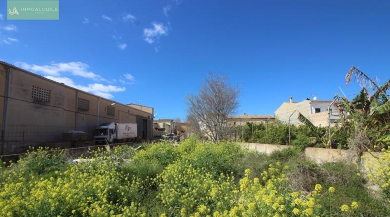 Balearic Islands - Muro - 351m2