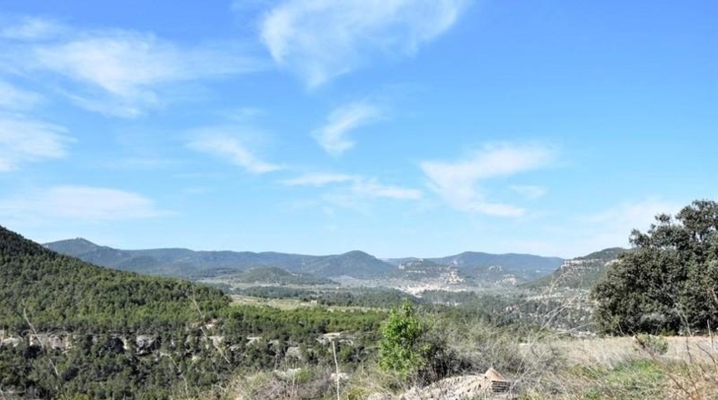 Teruel - Fuentespalda - 24590m2