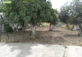Casa de camp amb terreny en venda a la España, Alcolea, ref.: TR146562 foto