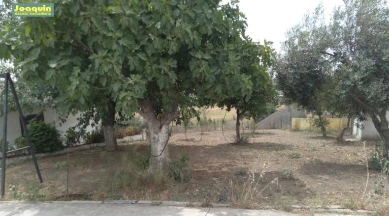 Córdoba - Córdoba - 1500m2